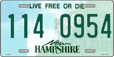 NH license plate 1140954