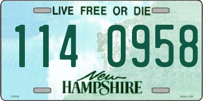 NH license plate 1140958