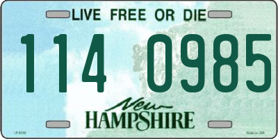 NH license plate 1140985