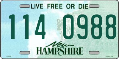 NH license plate 1140988