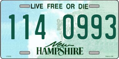 NH license plate 1140993