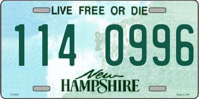 NH license plate 1140996