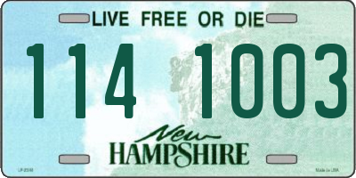 NH license plate 1141003