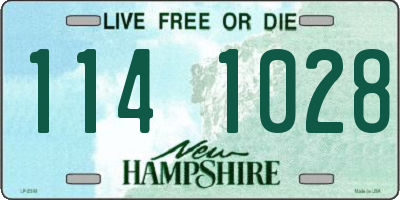 NH license plate 1141028