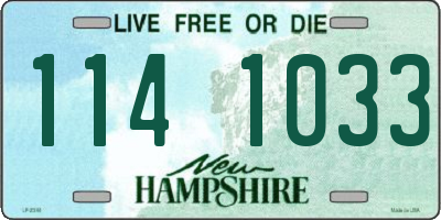 NH license plate 1141033