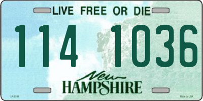 NH license plate 1141036