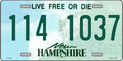 NH license plate 1141037