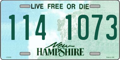 NH license plate 1141073