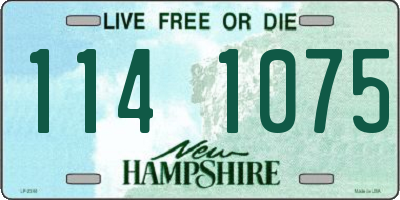 NH license plate 1141075