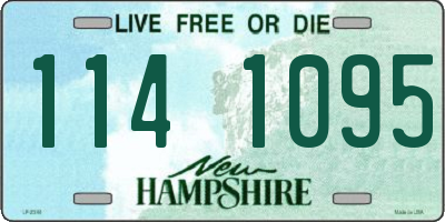 NH license plate 1141095