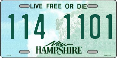 NH license plate 1141101