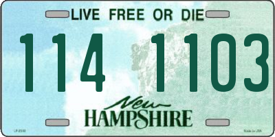 NH license plate 1141103