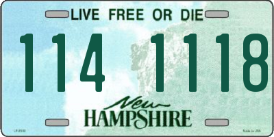 NH license plate 1141118