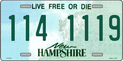 NH license plate 1141119