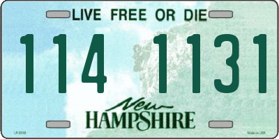 NH license plate 1141131
