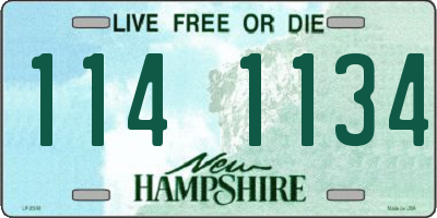 NH license plate 1141134
