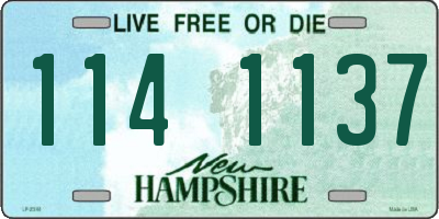 NH license plate 1141137