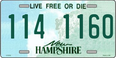 NH license plate 1141160