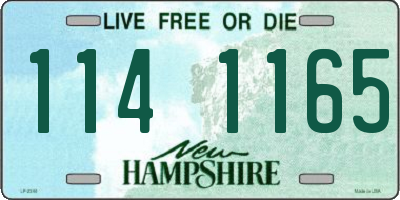 NH license plate 1141165