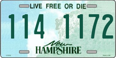 NH license plate 1141172