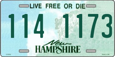 NH license plate 1141173