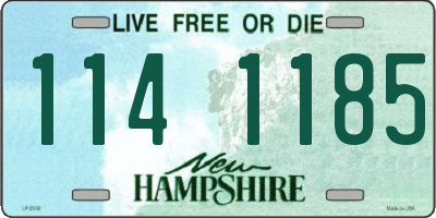 NH license plate 1141185