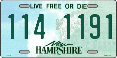 NH license plate 1141191