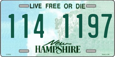 NH license plate 1141197