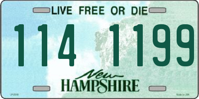 NH license plate 1141199