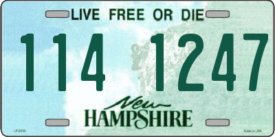 NH license plate 1141247