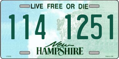 NH license plate 1141251