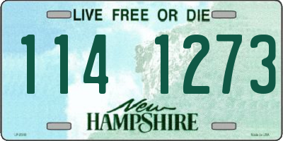 NH license plate 1141273