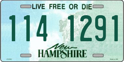 NH license plate 1141291