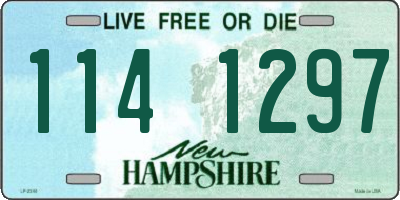 NH license plate 1141297