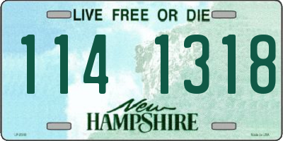 NH license plate 1141318