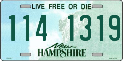 NH license plate 1141319