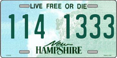 NH license plate 1141333