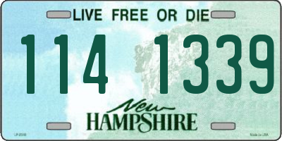 NH license plate 1141339