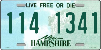 NH license plate 1141341