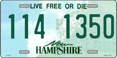 NH license plate 1141350