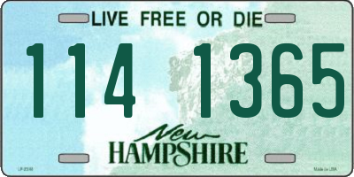 NH license plate 1141365