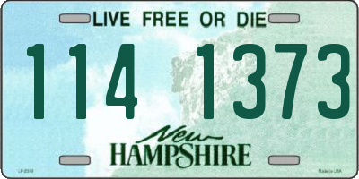 NH license plate 1141373