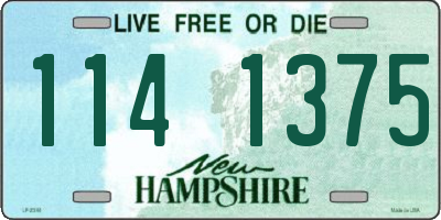 NH license plate 1141375