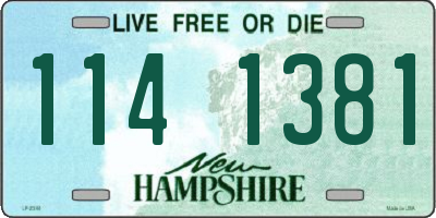 NH license plate 1141381