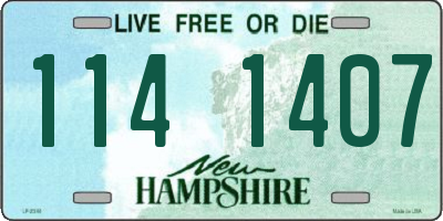 NH license plate 1141407
