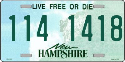 NH license plate 1141418
