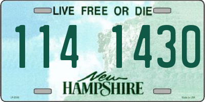 NH license plate 1141430