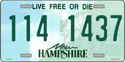 NH license plate 1141437