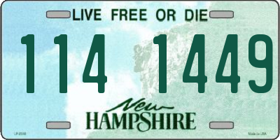 NH license plate 1141449
