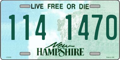 NH license plate 1141470